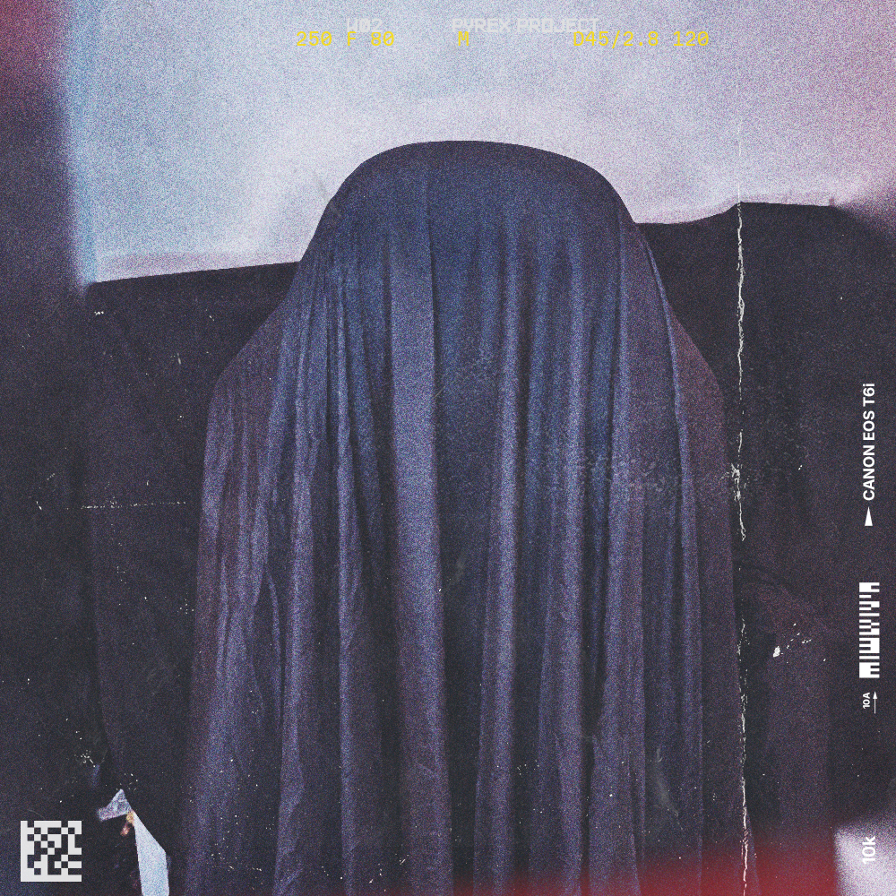 ENTRY 001: TRAP or DIY